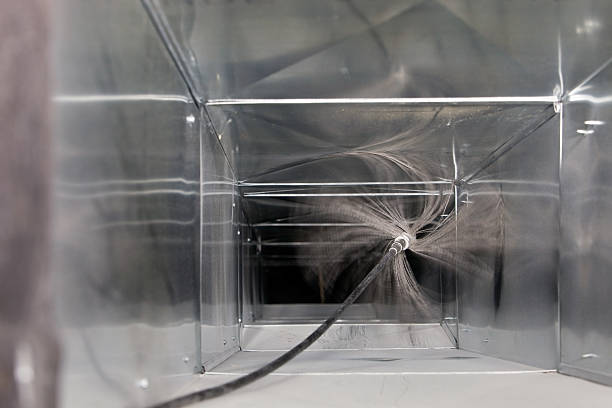 Best Air Duct Mold Removal  in Great Falls Crossing, VA