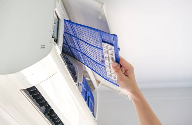 Air Duct Mold Removal in VA