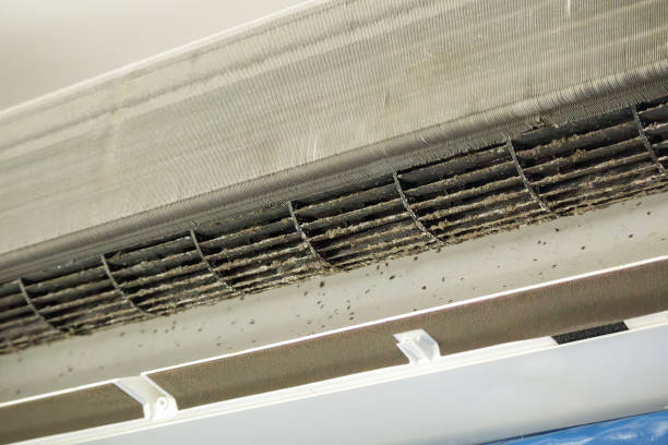 Best Affordable Duct Cleaning Services  in Great Falls Crossing, VA